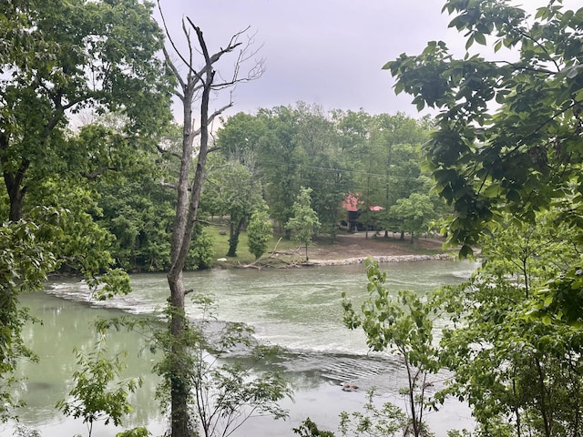 136 Riverview Dr, Mammoth Spring, AR 72554 - water view