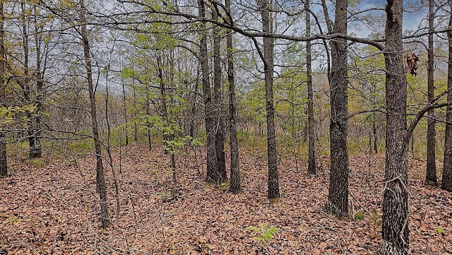 000 State Highway 76, Ava, MO 65608