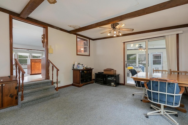 office space with beam ceiling, a ceiling fan, carpet, and baseboards