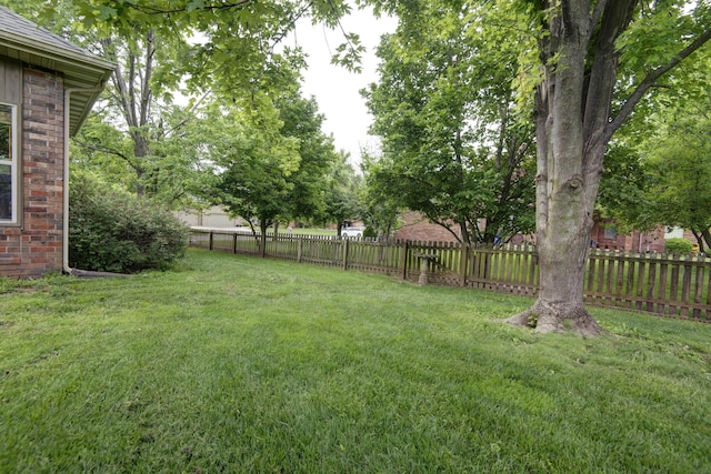 904 W Crater Cir, Nixa, MO 65714 - view of yard