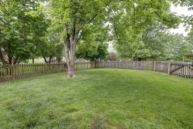 904 W Crater Cir, Nixa, MO 65714 - view of yard