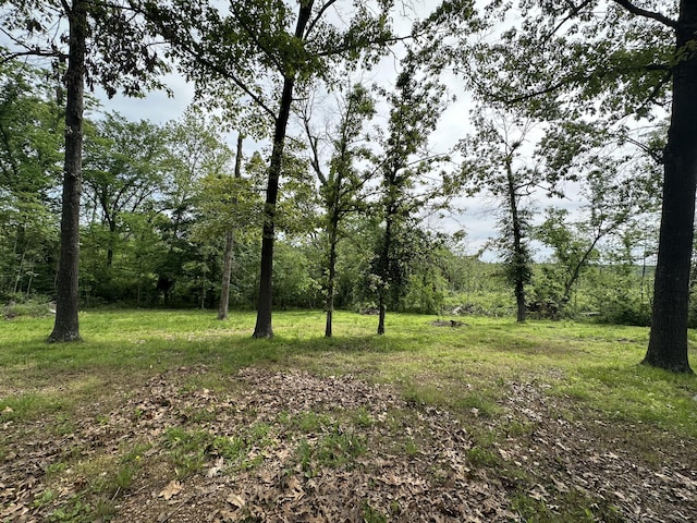 133 Robinhood Dr, Cassville, MO 65625 - photo 25