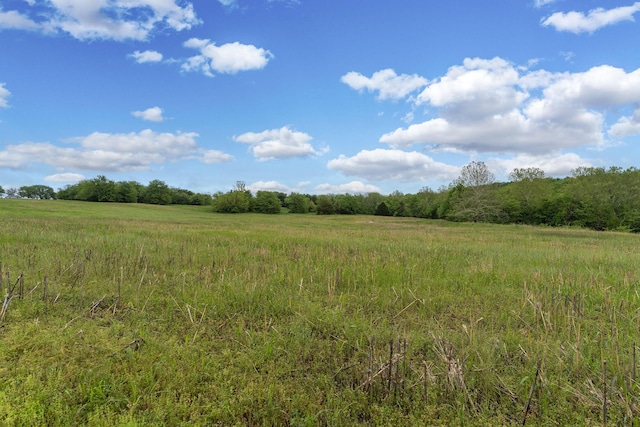 5376 S 140th Rd, Morrisville, MO 65710 - view of wooded area with a rural view