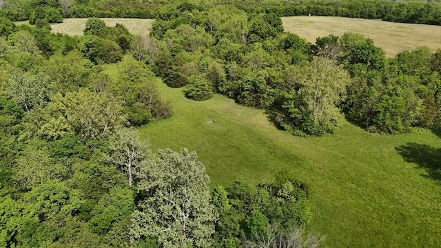 5376 S 140th Rd, Morrisville, MO 65710 - drone / aerial view of a forest