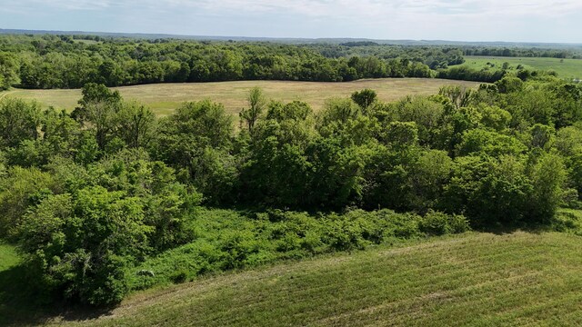 5376 S 140th Rd, Morrisville, MO 65710 - bird's eye view of a heavily wooded area