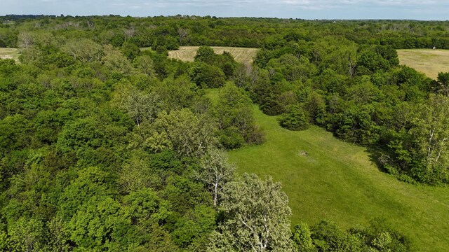 5376 S 140th Rd, Morrisville, MO 65710 - bird's eye view of a forest