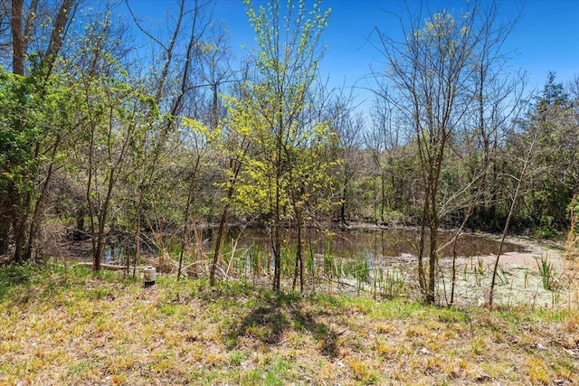 580 Cedar Hill Ln, Marshfield, MO 65706 - water view featuring a heavily wooded area