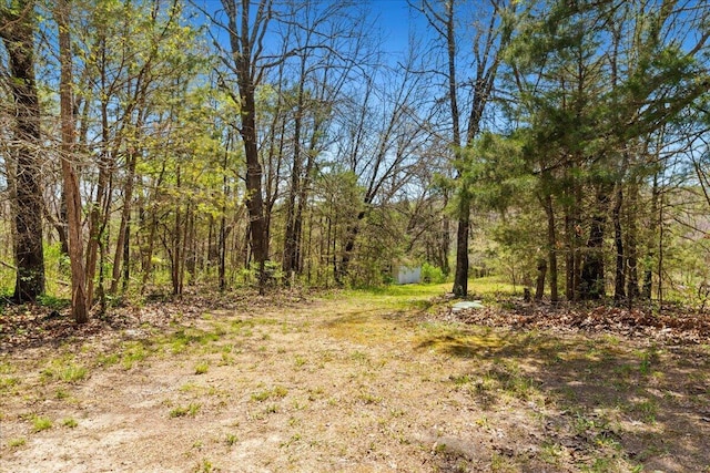 580 Cedar Hill Ln, Marshfield, MO 65706 - view of wooded area
