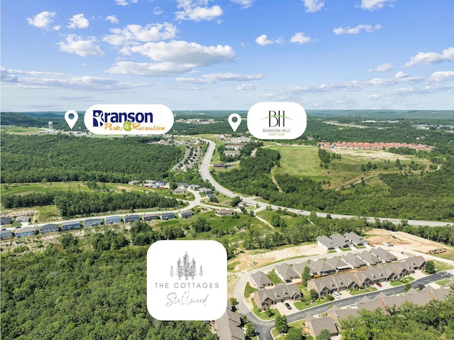 361 Stillwood Dr, Branson, MO 65616 - drone / aerial view of a forest