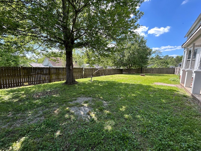 view of yard