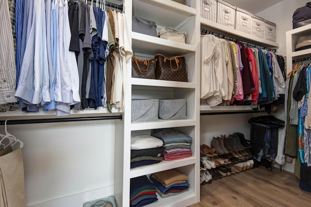 walk in closet featuring wood finished floors