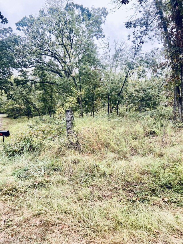 294 E Dade 68, Greenfield, MO 65661