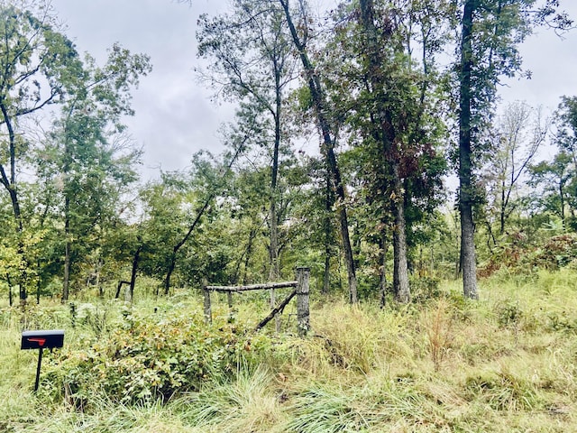 294 E Dade 68, Greenfield, MO 65661