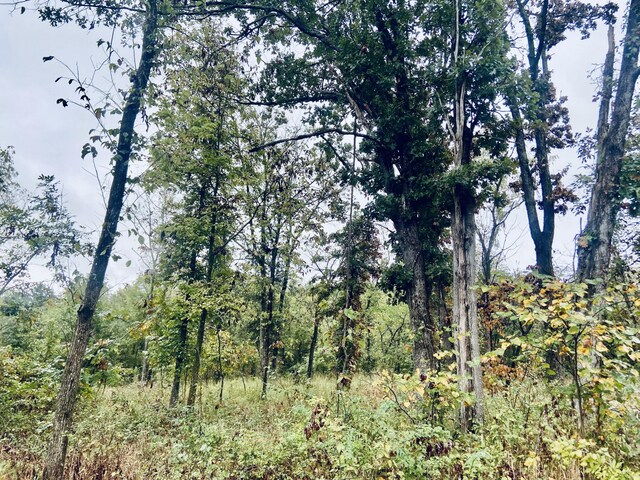 294 E Dade 68, Greenfield, MO 65661
