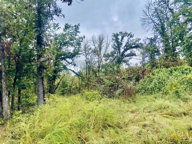 294 E Dade 68, Greenfield, MO 65661