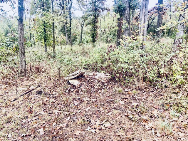 294 E Dade 68, Greenfield, MO 65661
