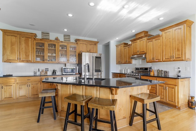 5998 S Parkhaven Ln, Springfield, MO 65810 - kitchen with stainless steel appliances, under cabinet range hood, a sink, light wood-type flooring, and backsplash