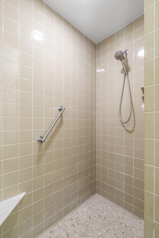 1294 Acacia Club Rd, Hollister, MO 65672 - full bathroom with a tile shower