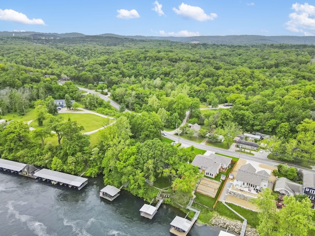 1294 Acacia Club Rd, Hollister, MO 65672 - aerial view of a forest and a nearby body of water