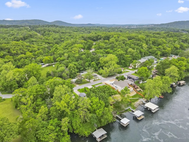 1294 Acacia Club Rd, Hollister, MO 65672 - aerial view of a large body of water and a forest