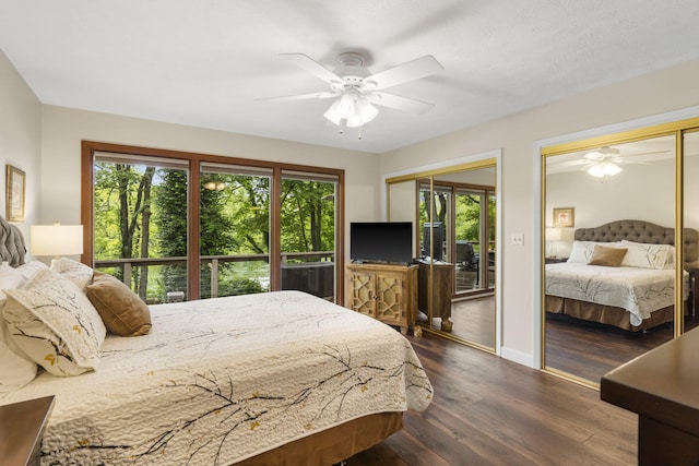 1294 Acacia Club Rd, Hollister, MO 65672 - bedroom featuring multiple closets, multiple windows, dark wood finished floors, and a ceiling fan
