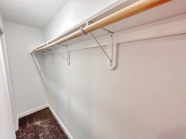 1712 S Jackson St, El Dorado Springs, MO 64744 - spacious closet with carpet flooring