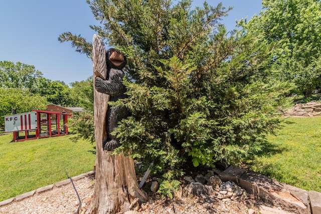 237 Jefferson St, Forsyth, MO 65653 - view of green lawn
