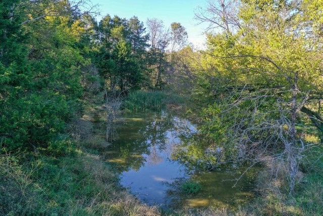 view of woods