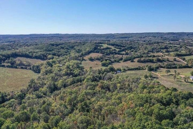 aerial view of a forest