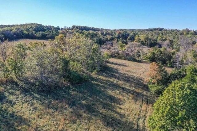 view of woods