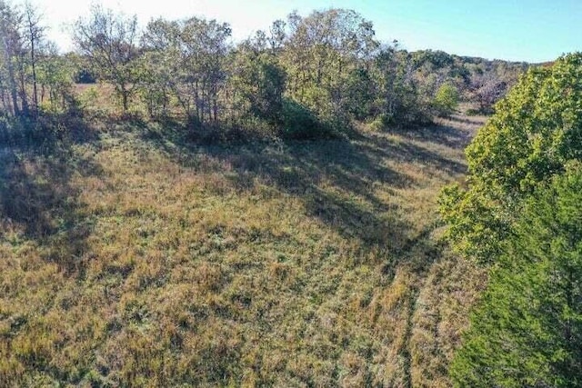 view of woods