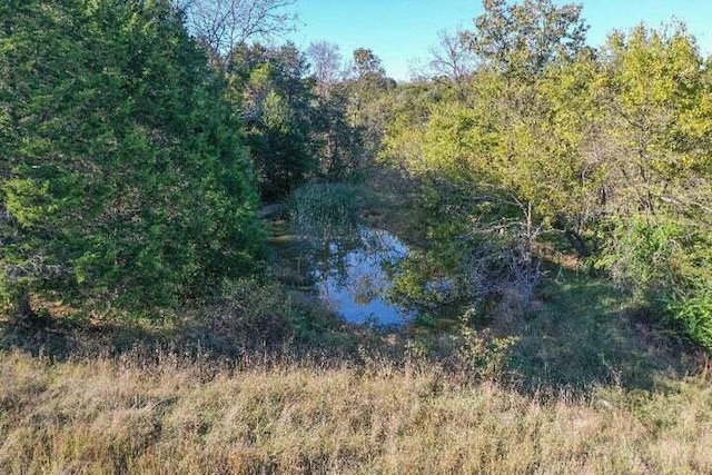 view of tree filled area