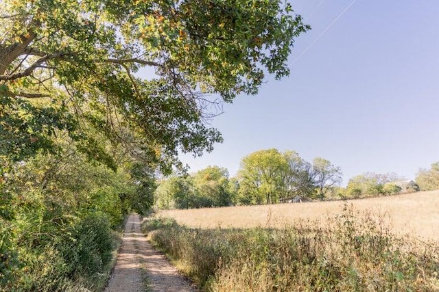 view of local wilderness with rural landscape