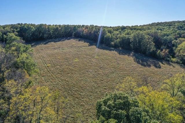 drone / aerial view of a heavily wooded area