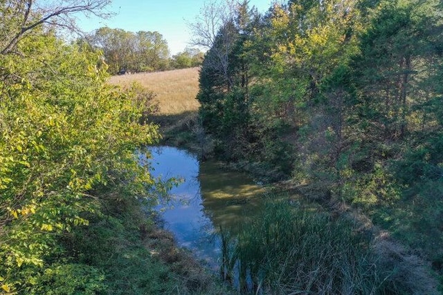 view of undeveloped land