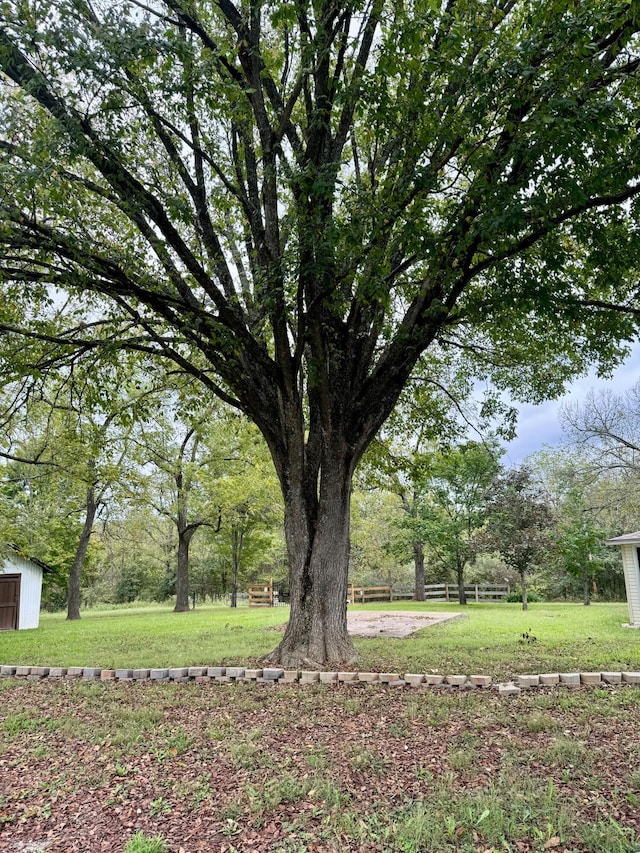 view of green lawn