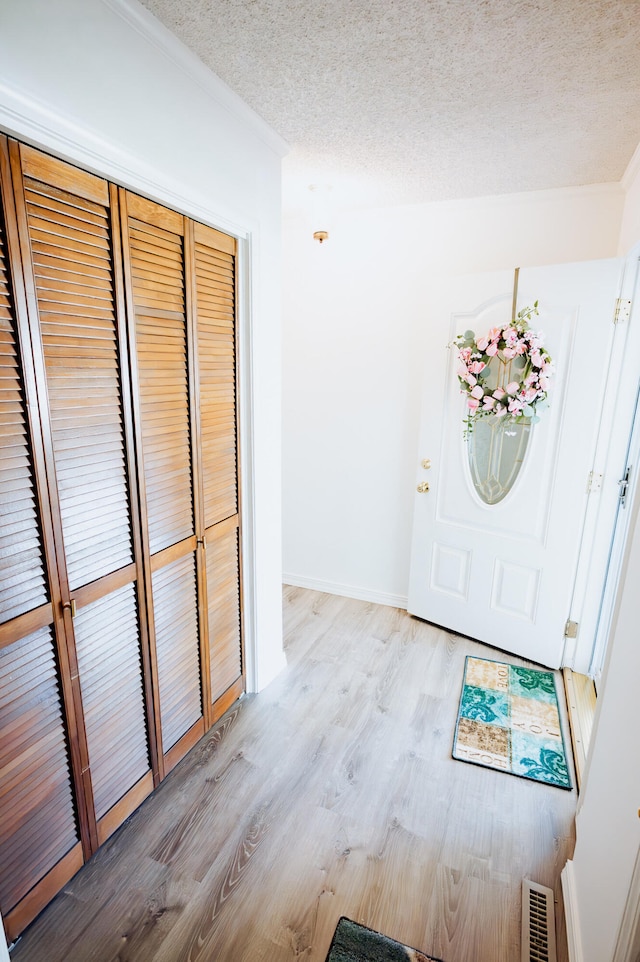 21246 County Road 295, Hermitage, MO 65668 - foyer entrance with light wood-style flooring and a textured ceiling