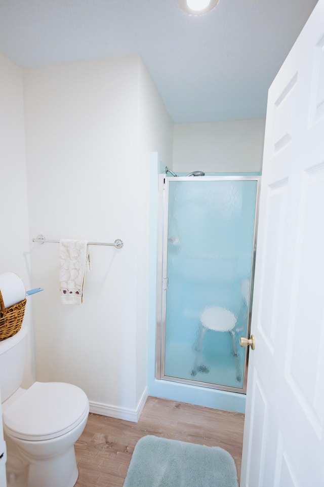 21246 County Road 295, Hermitage, MO 65668 - bathroom with wood finished floors, a shower stall, toilet, and baseboards