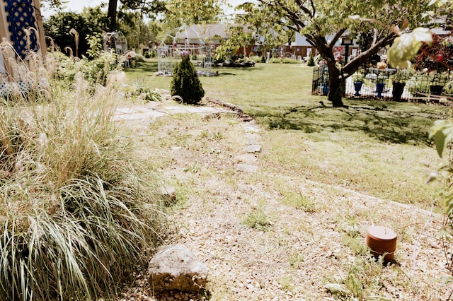 21246 County Road 295, Hermitage, MO 65668 - view of green lawn