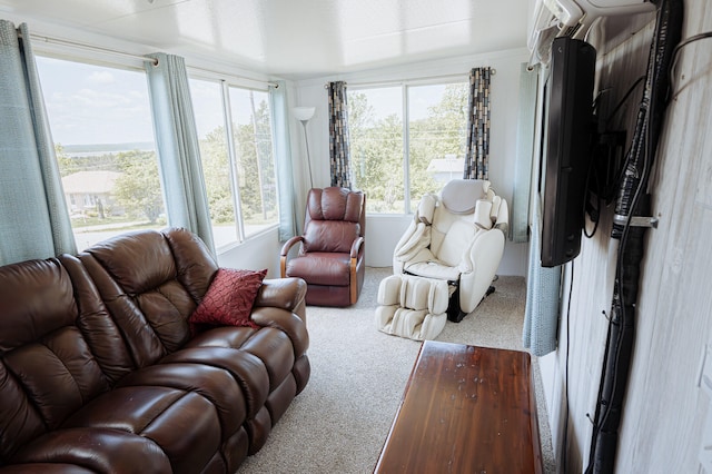 21246 County Road 295, Hermitage, MO 65668 - view of carpeted living room