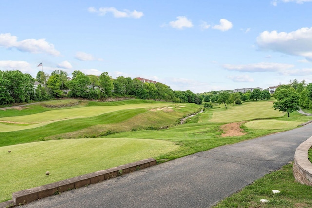 351 S Wildwood Dr Unit 3-2, Branson, MO 65616 - view of property's community with golf course view and view of scattered trees
