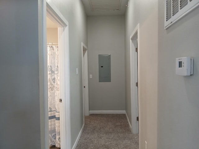 639 W Webster St, Springfield, MO 65802 - hallway with electric panel, carpet flooring, and baseboards