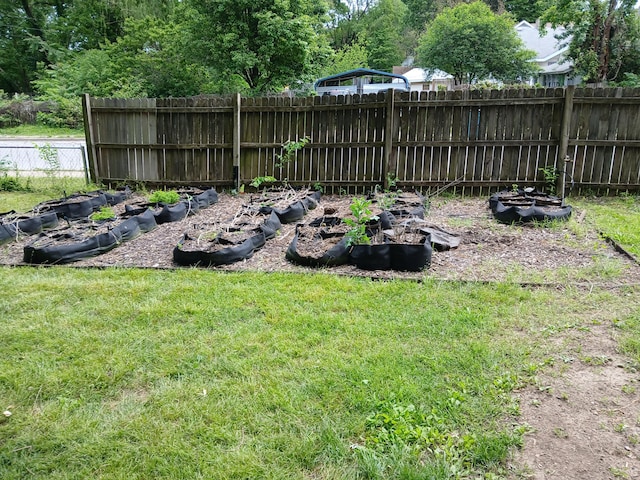 639 W Webster St, Springfield, MO 65802 - view of yard