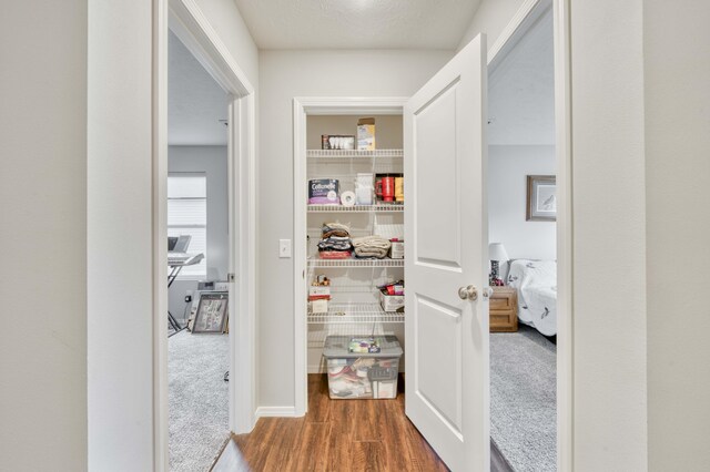 358 W Granada St, Republic, MO 65738 - corridor with wood finished floors and carpet