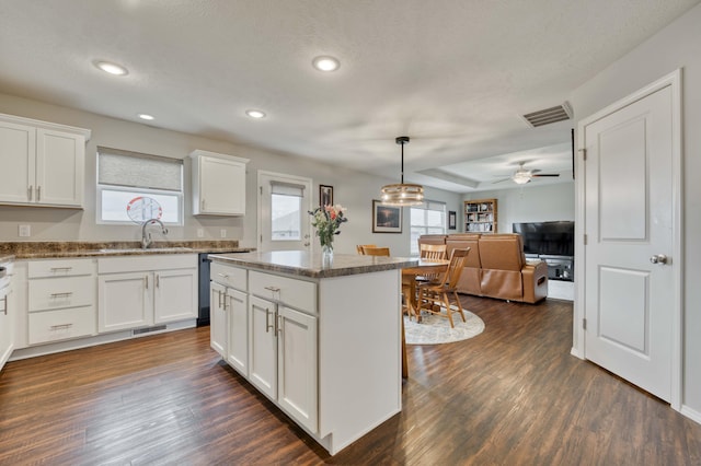 358 W Granada St, Republic, MO 65738 - kitchen with a sink, plenty of natural light, a kitchen island, white cabinetry, and recessed lighting