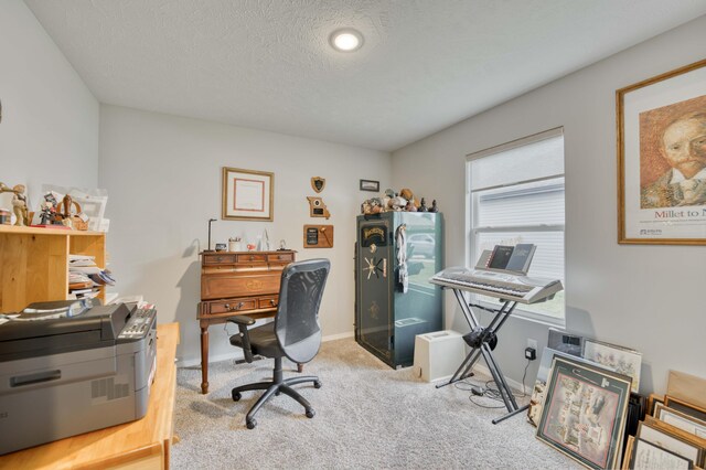 358 W Granada St, Republic, MO 65738 - office space featuring carpet flooring, baseboards, and a textured ceiling