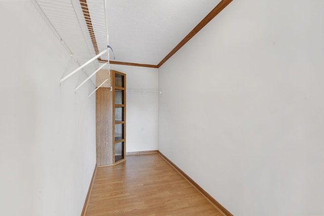 spacious closet featuring light wood-style flooring