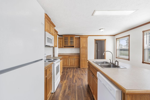 kitchen featuring white appliances, a sink, a textured ceiling, brown cabinets, and dark wood-style flooring