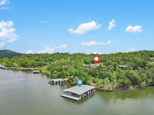 drone / aerial view of a heavily wooded area and a large body of water