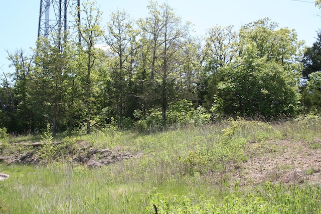 146 Deauville Cir, Branson, MO 65616 - photo 2
